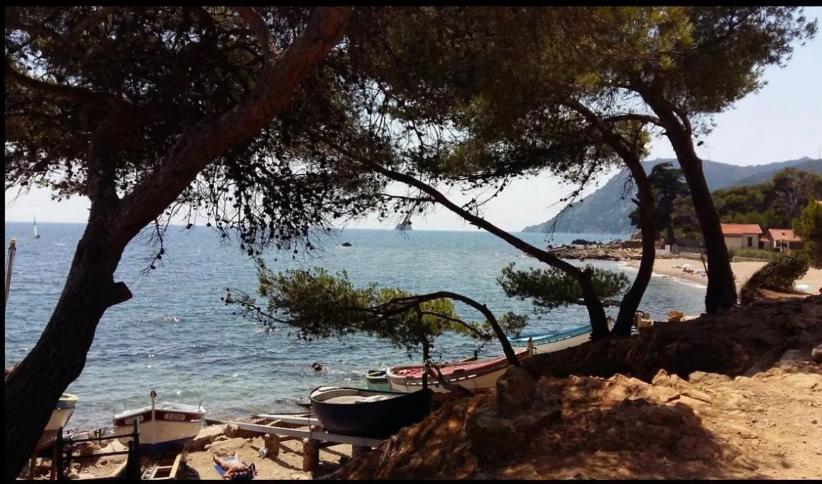 Appartement T2 A Fabregas, Proche Des Sablettes location
